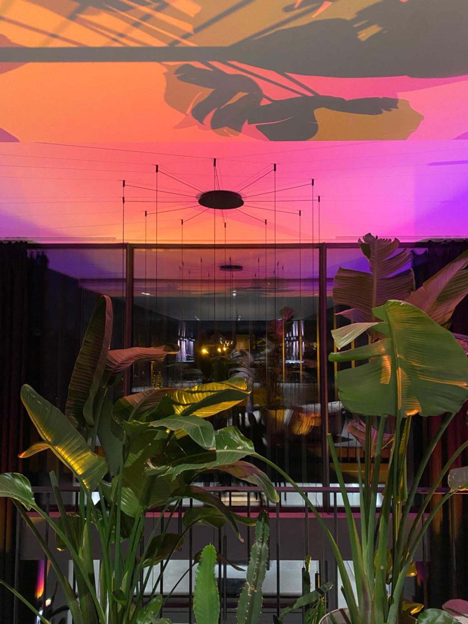 Exklusive Design Appartement Palm Paradise Neubau Pfungstadt Exteriér fotografie